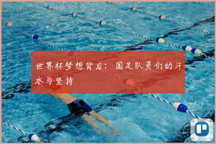 世界杯梦想背后:国足队员们的汗水与坚持