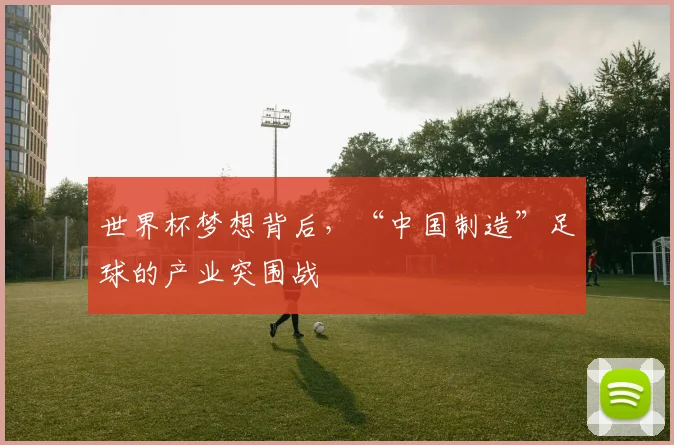 世界杯梦想背后,“中国制造”足球的产业突围战
