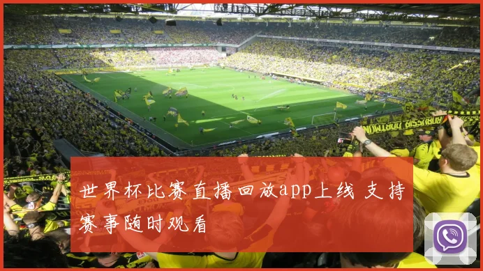 世界杯比赛直播回放app上线 支持赛事随时观看