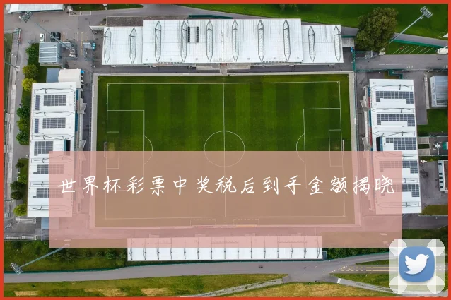世界杯彩票中奖税后到手金额揭晓