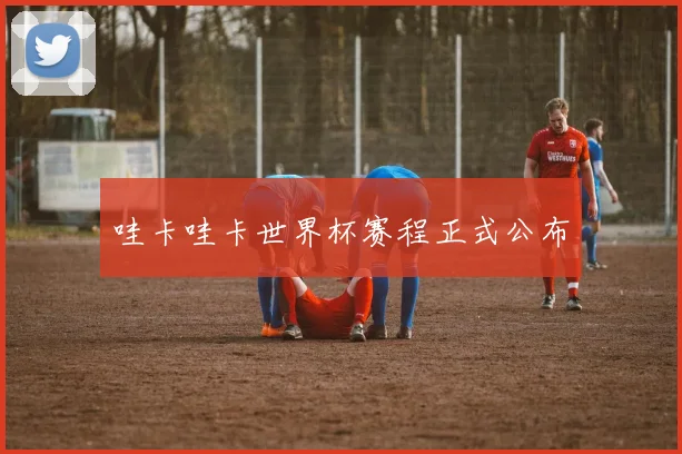 哇卡哇卡世界杯赛程正式公布