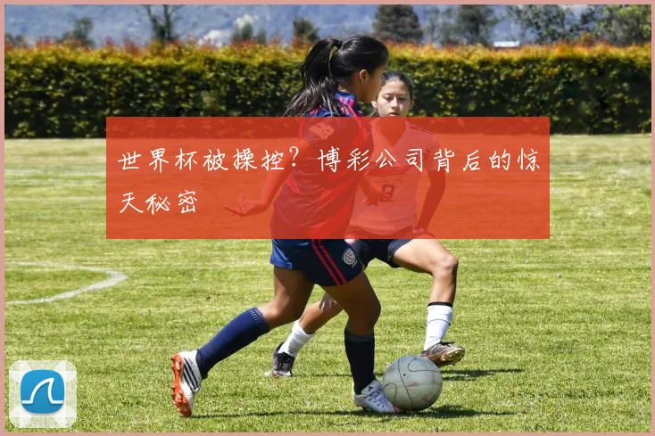 世界杯被操控？博彩公司背后的惊天秘密