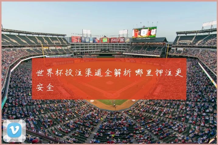 世界杯投注渠道全解析 哪里押注更安全