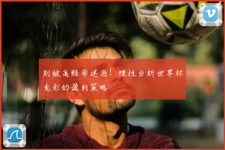 别被高赔率迷惑!理性分析世界杯竞彩的盈利策略