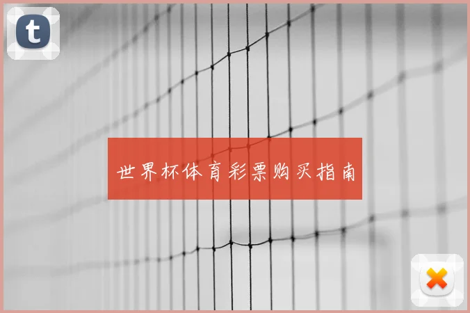 世界杯体育彩票购买指南